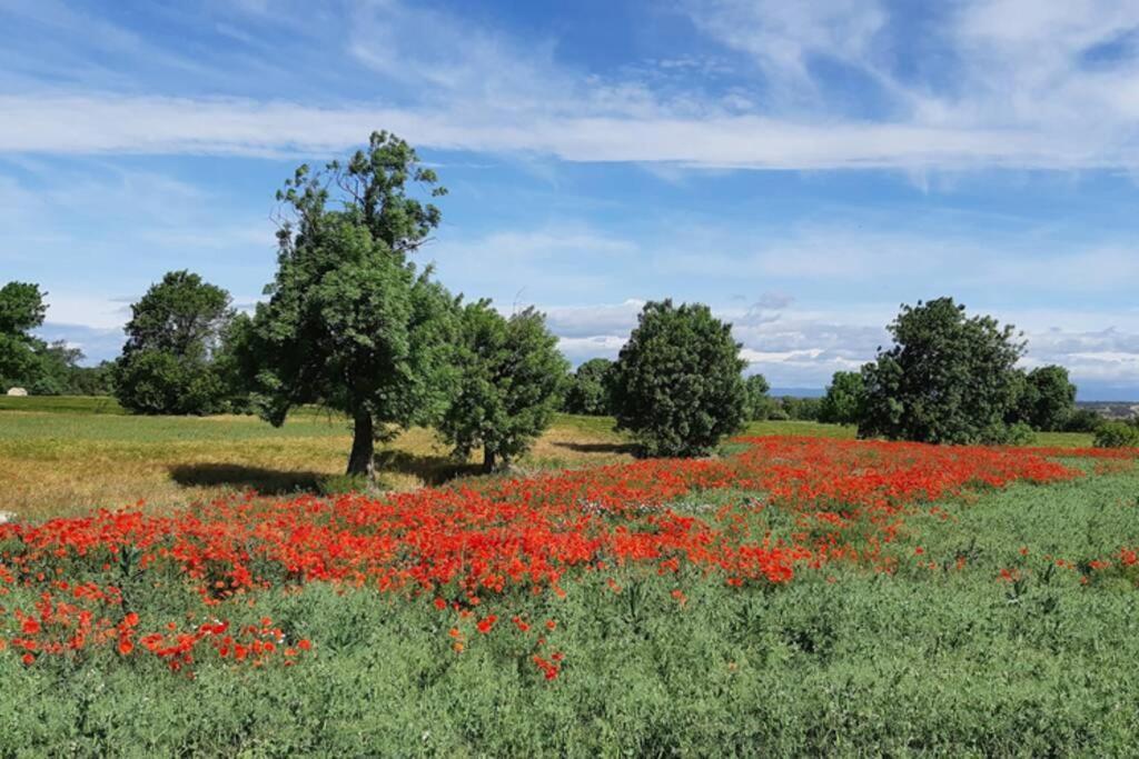 Cal Bello Casa Rural Lleida Ngoại thất bức ảnh