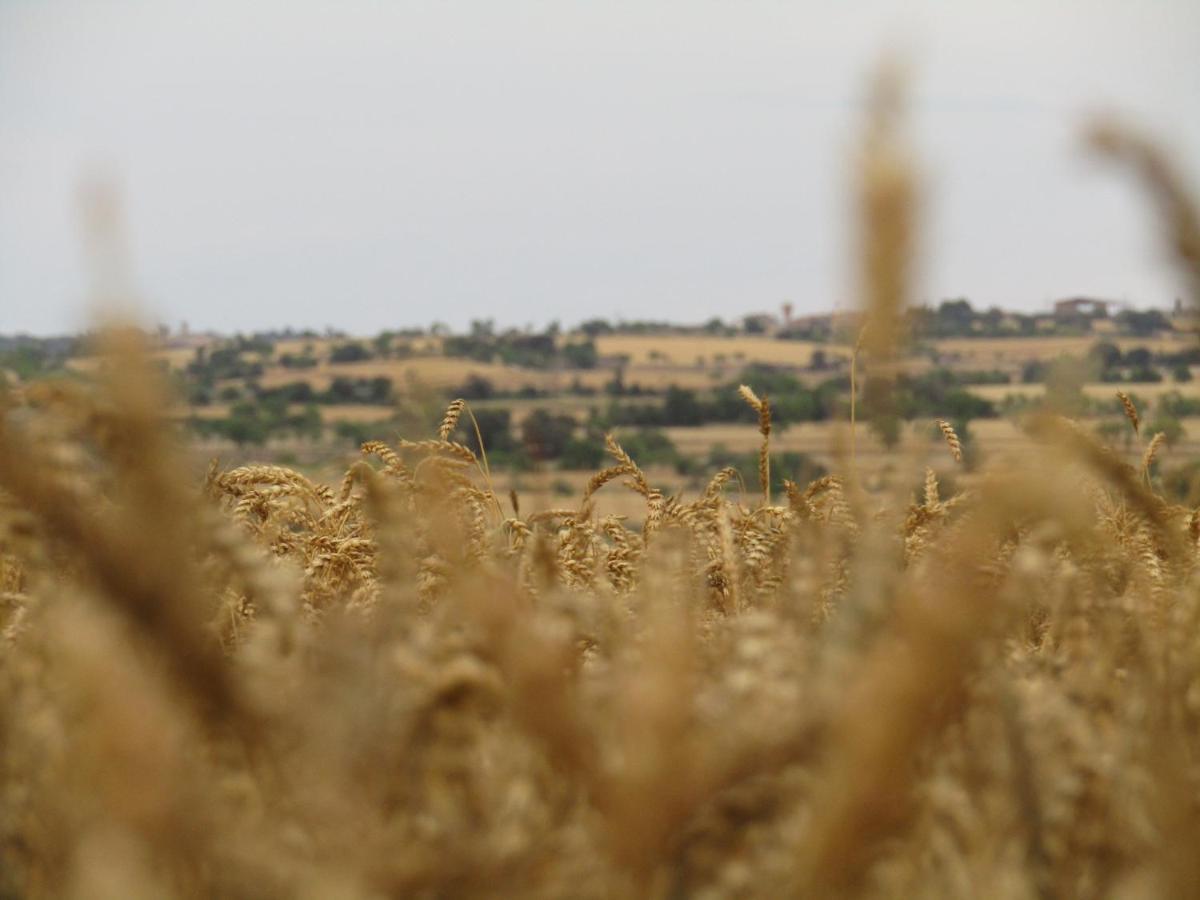 Cal Bello Casa Rural Lleida Ngoại thất bức ảnh
